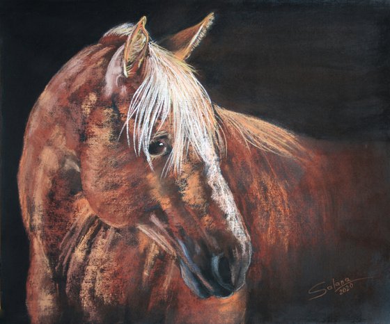 Horse... Portrait II /  ORIGINAL PAINTING