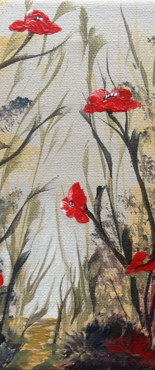 Path through the poppies by Marja Brown