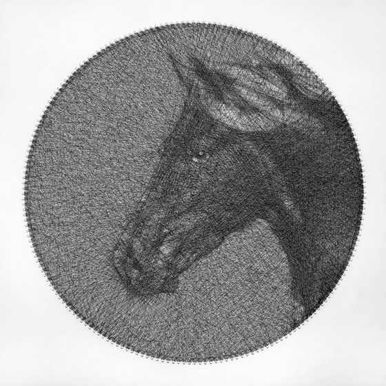 Black Horse Sring Art