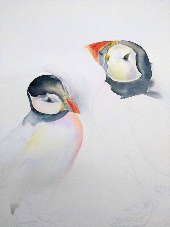 Puffins, original watercolour painting