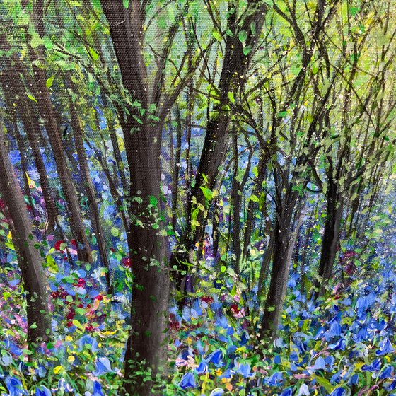 Evening Bluebells XL