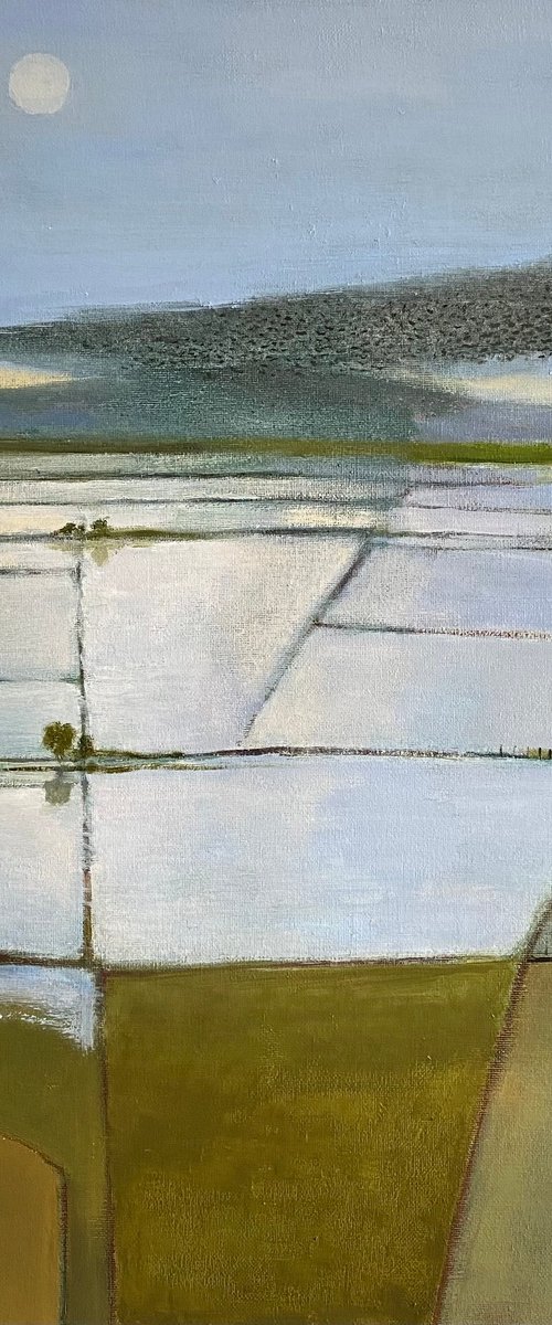 Wessex Murmuration by Nigel Sharman