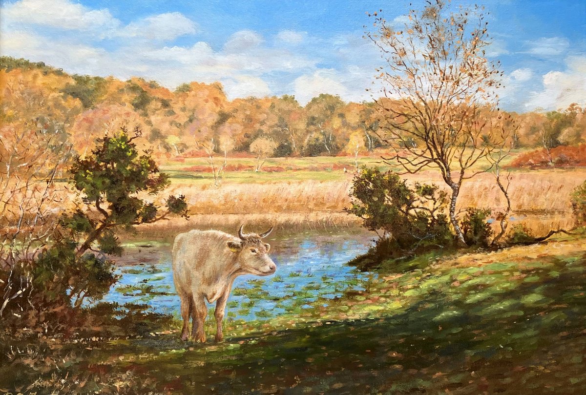 Illustrative Oil Painting , White Cow And Pond By Peter Frost, 25 X 19, Artwork For Sale On Artfinder