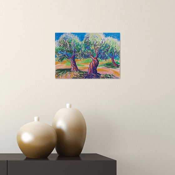 Olive grove No 30