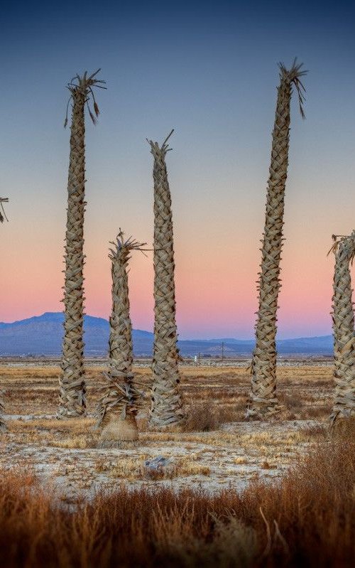 Twentynine Palms, California, USA by Rod Edwards