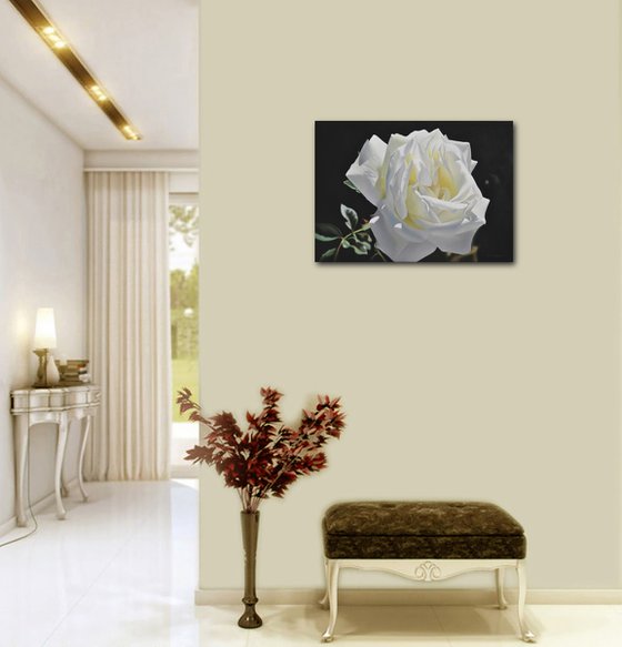 White rose