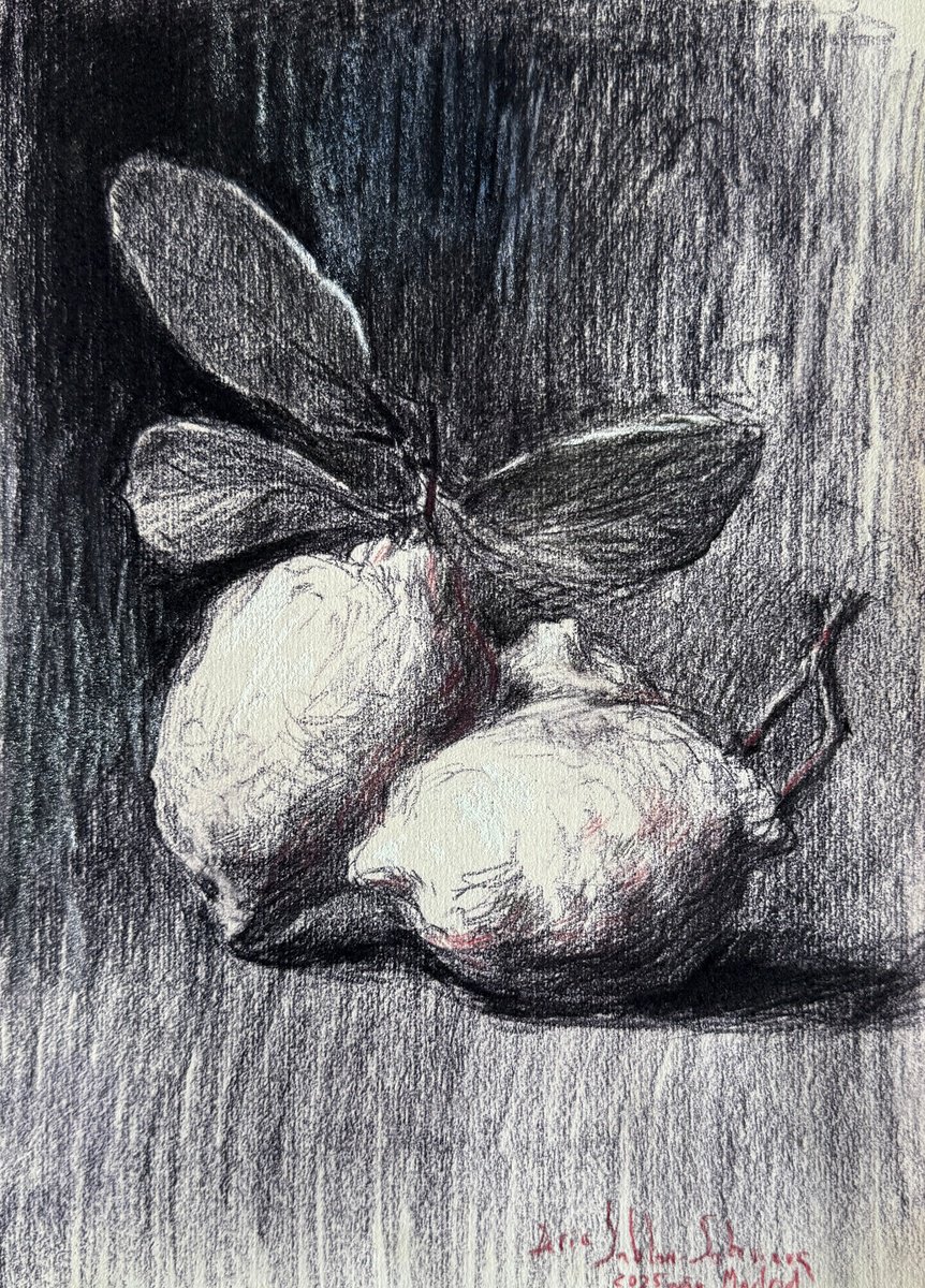 Impressionistic Still Life Pastel Drawing By Daria Yablon-Soloviova, 8 X 12, Still Life Citrus Nocturne, Pastel On Paper, Artfinder