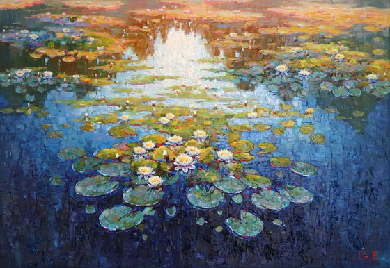 " Water lilies"