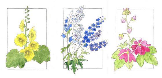 Floral triptych with mallows and bluebells flowers - Mixed media botanical illustration