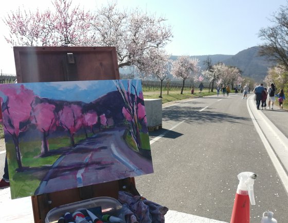 Almond blossom festival