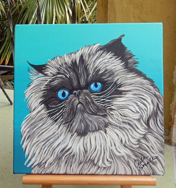 Himalayn Persian Cat-Acrylic Gouache-12 x 12 Stretched Canvas-Carla Smale