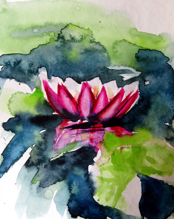 Little water lilies IV