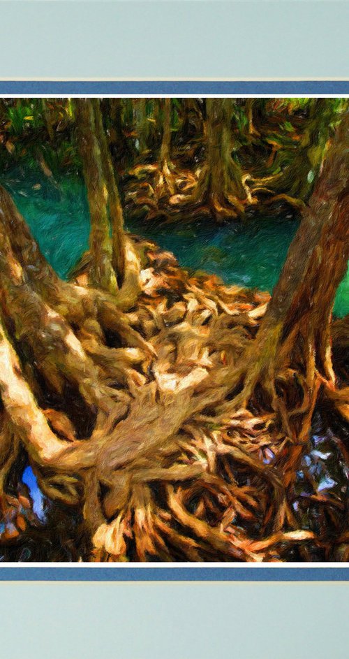 In the Mangroves, Thailand, impressionistic by Robin Clarke