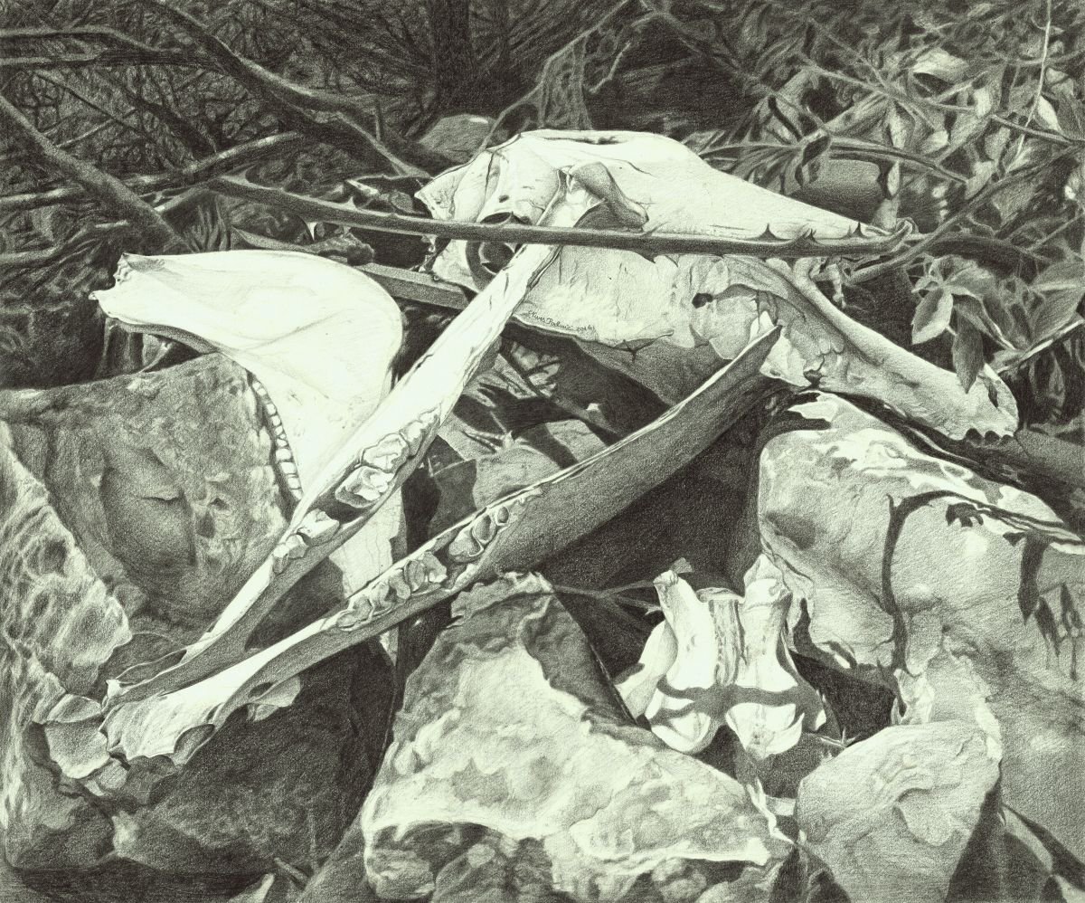 Photorealistic Still Life Pencil Drawing By Nives Palmic, 28 X 22", Vanitas, Original Artwork