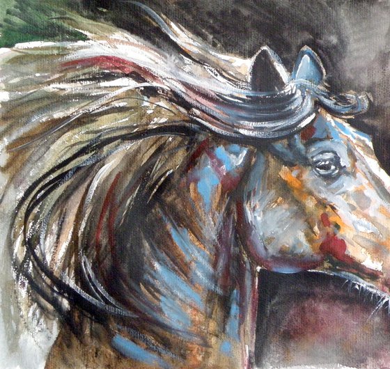 Horse portrait II