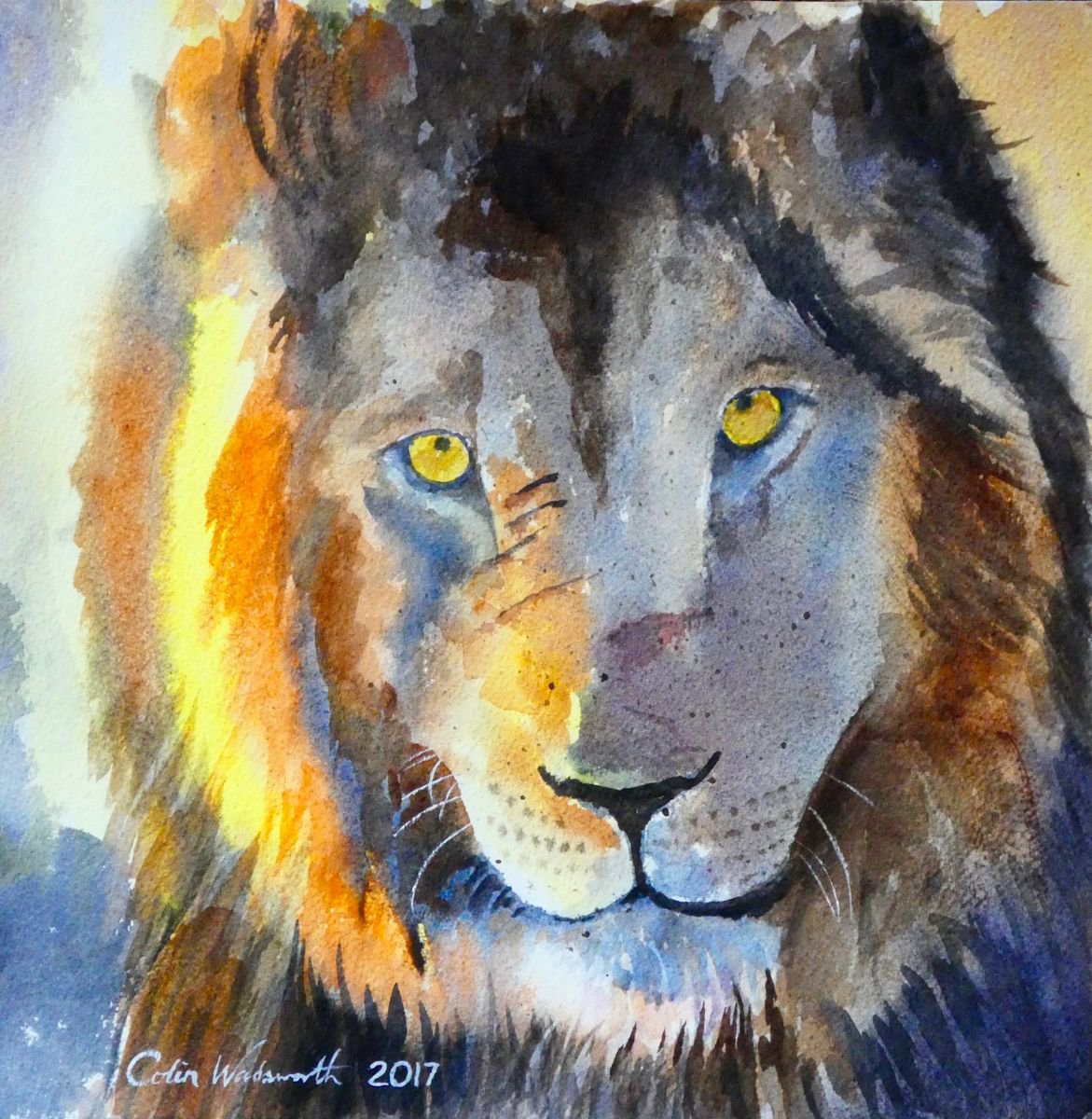 Lion by Colin Wadsworth