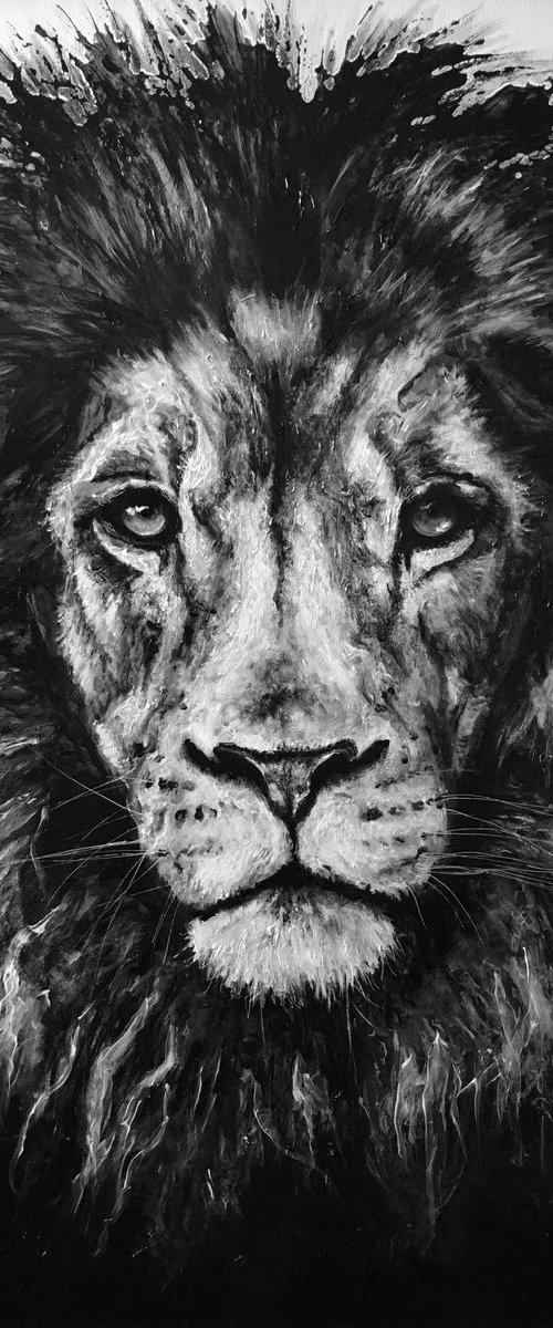 Lion Black and white by Paul Hardern