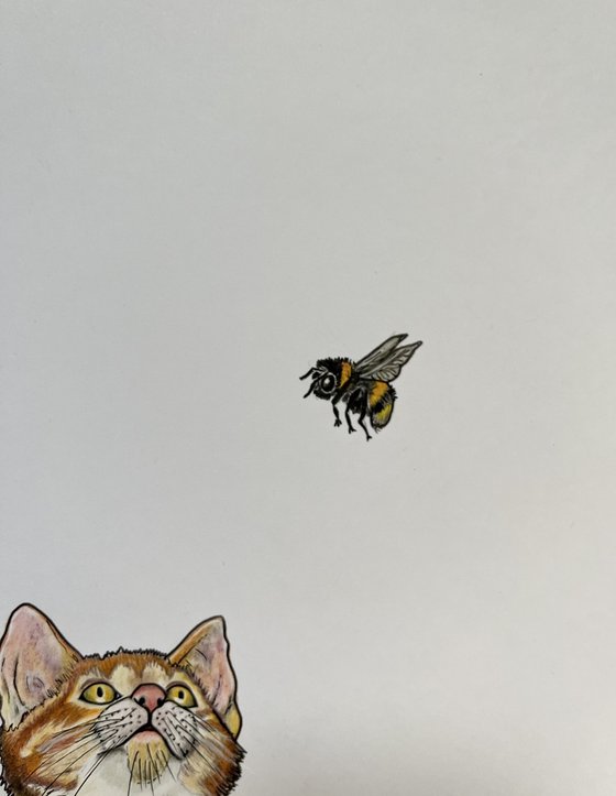 Two kittens