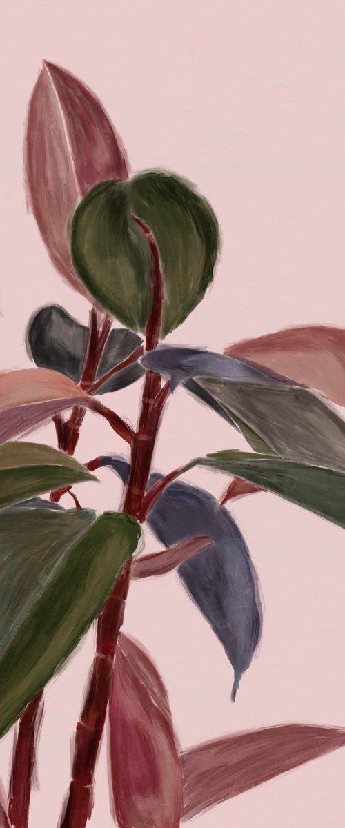 Rubber Plant Pink and Green by Maria Al Zoubi