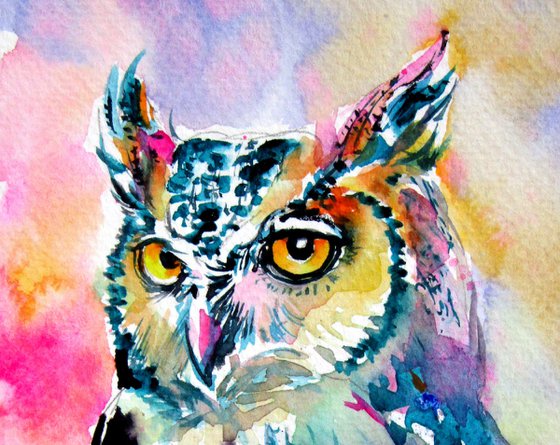 Majestic colorful owl
