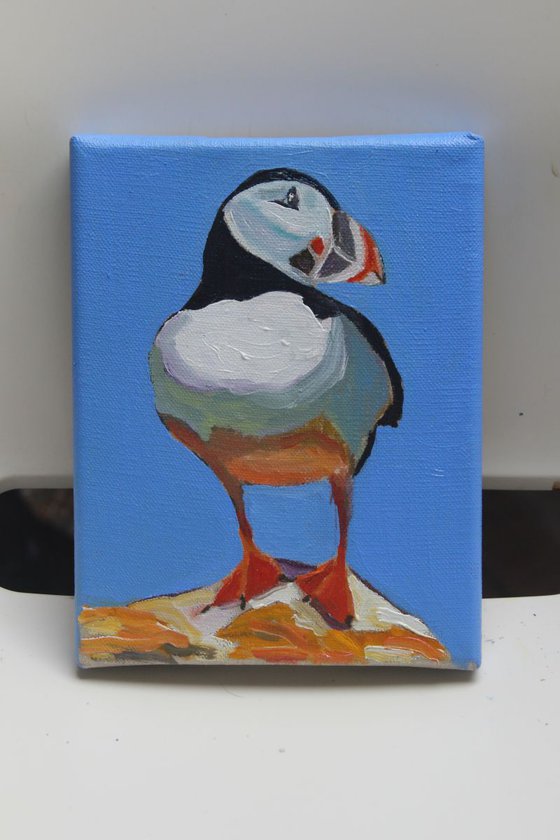 Puffin #2