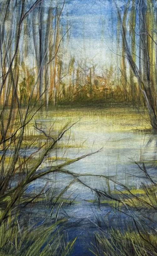Swamp in Anykščiai (Lithuania) by Daiva Karaliute