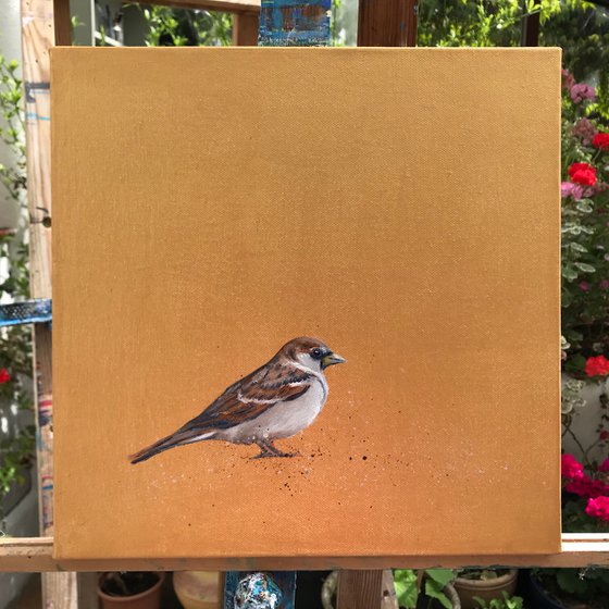 Garden Sparrow on Gold