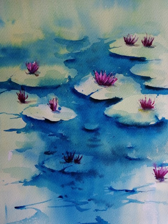 Lily pond 2
