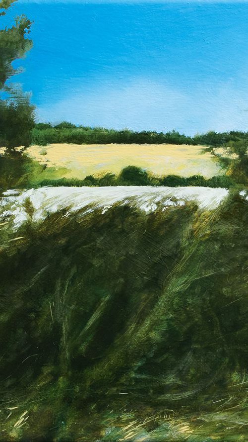 HEDGE, PASSING, A303 by Duncan Hopkins
