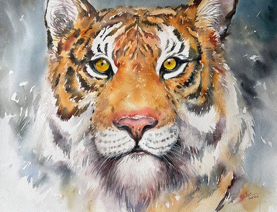 The Tiger's Gaze