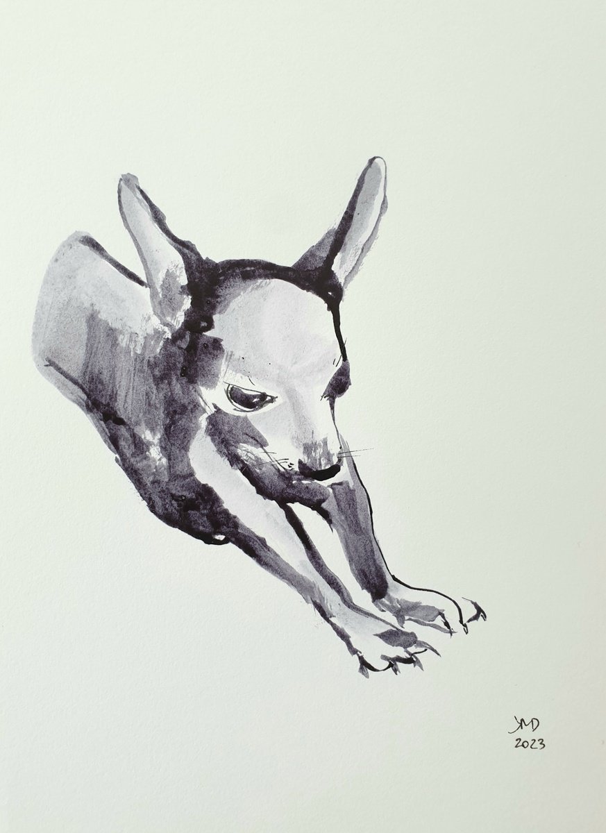 Chihuahua portrait by Ksenia June