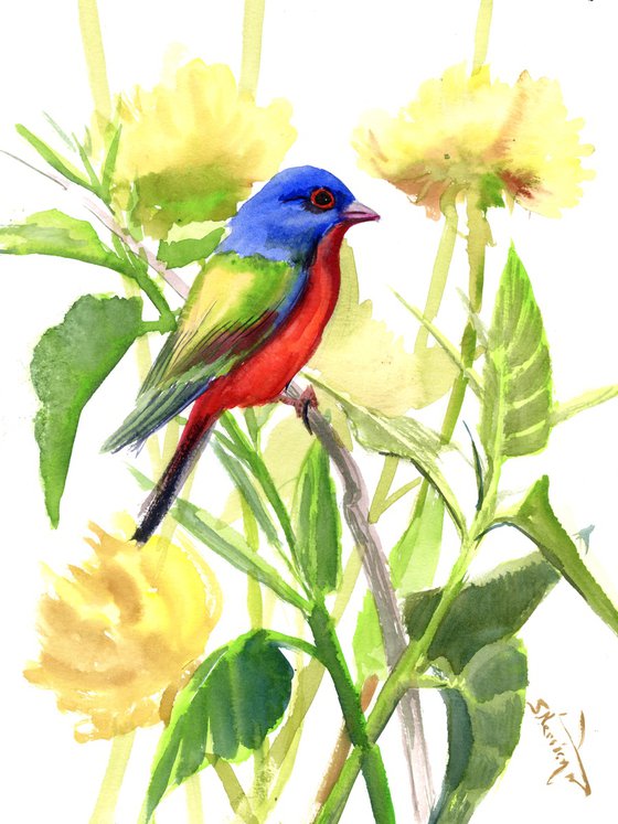 Painted Bunting