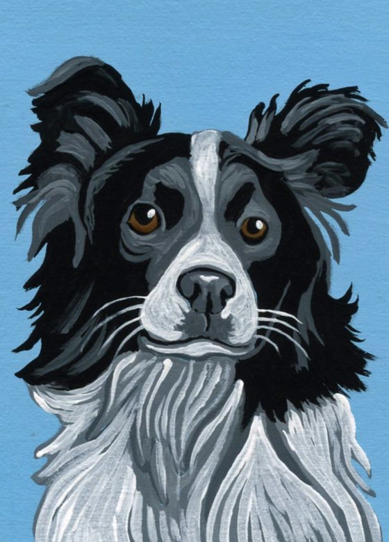 ACEO ATC Original Miniature Painting Border Collie Pet Dog Art-Carla Smale