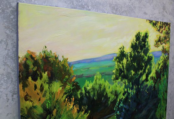 Summer Light