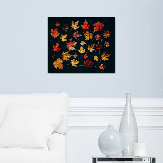 Autumn Maple Leaves