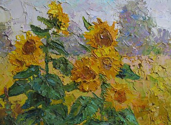 Sunflowers in the field