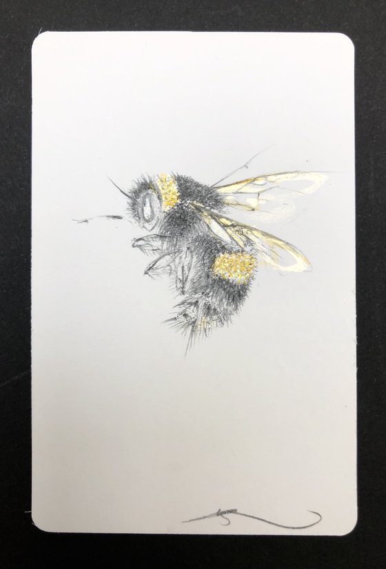 Bee Portrait on white playing cards (Buff tailed bumblebee)