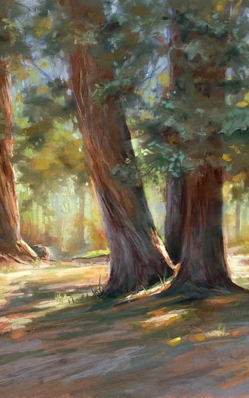 Sunny forest by Maria Vasilevich