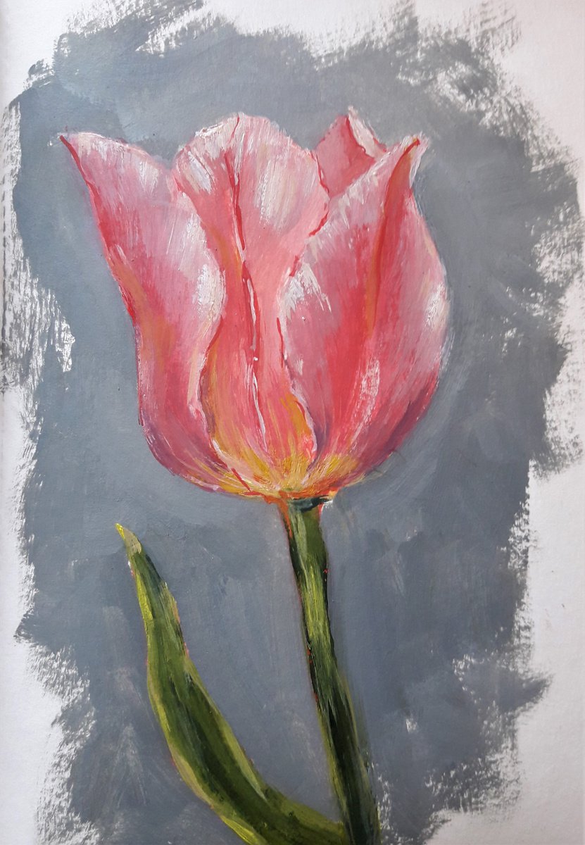 Tulip by Olga Tretyak