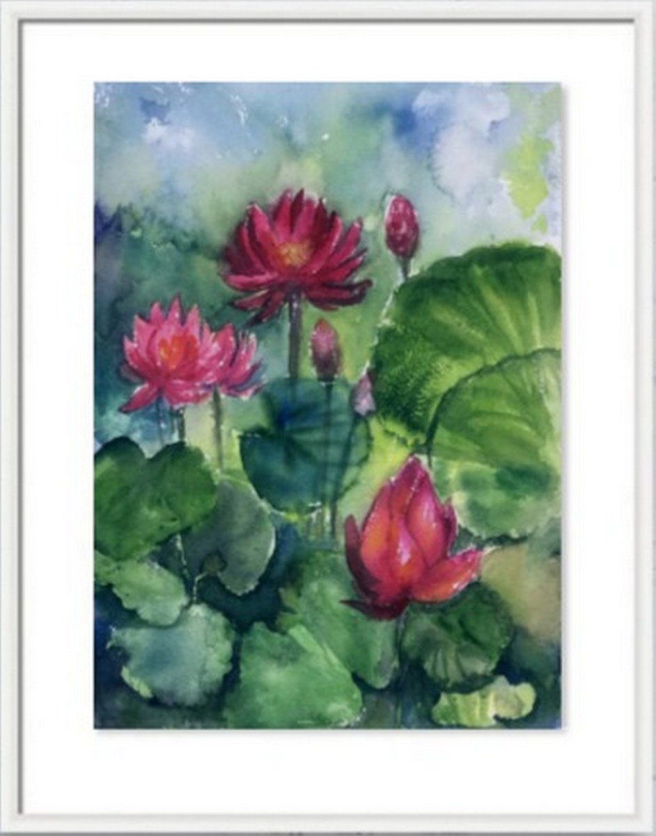 Monsoon Water Lily 2 - Waterlilies- Lotus watercolours on paper by Asha Shenoy