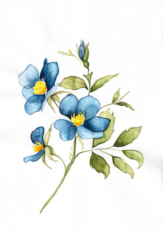 Blue flowers