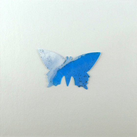 One blue Butterfly