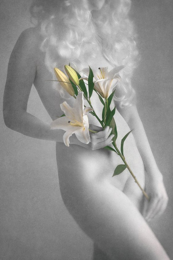 Lily II. - Art Nude