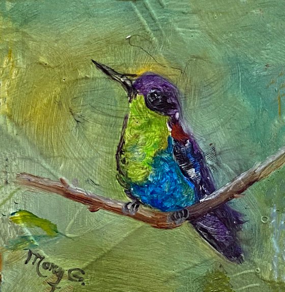 Crowned Woodnymph Hummingbird Original Oil on gessoed masonite Square Frame