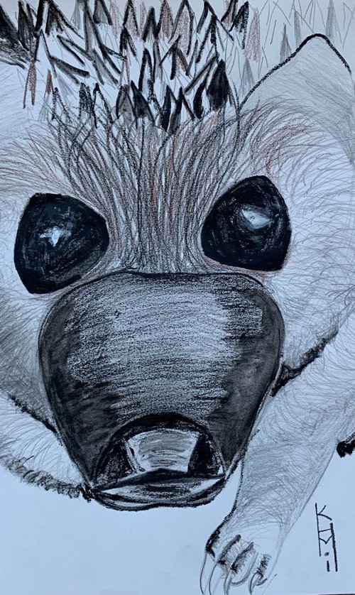Hedgehog Big Face / Bird Art / Animals & Birds / Animal Portrait / Owl Art / Bird Art / Black and White / Original Artwork / Gifts For Her / Home Decor Wall Art 11.7"x16.5" by Kumi Muttu