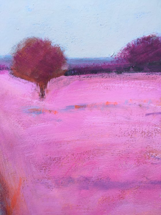 Pink Meadow