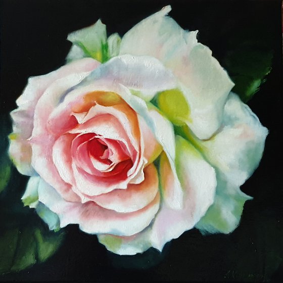 "Young beauty"  rose flower macro  original painting  GIFT (2018)