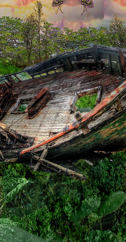 Cabbage-Boat by Geert Lemmers FPA