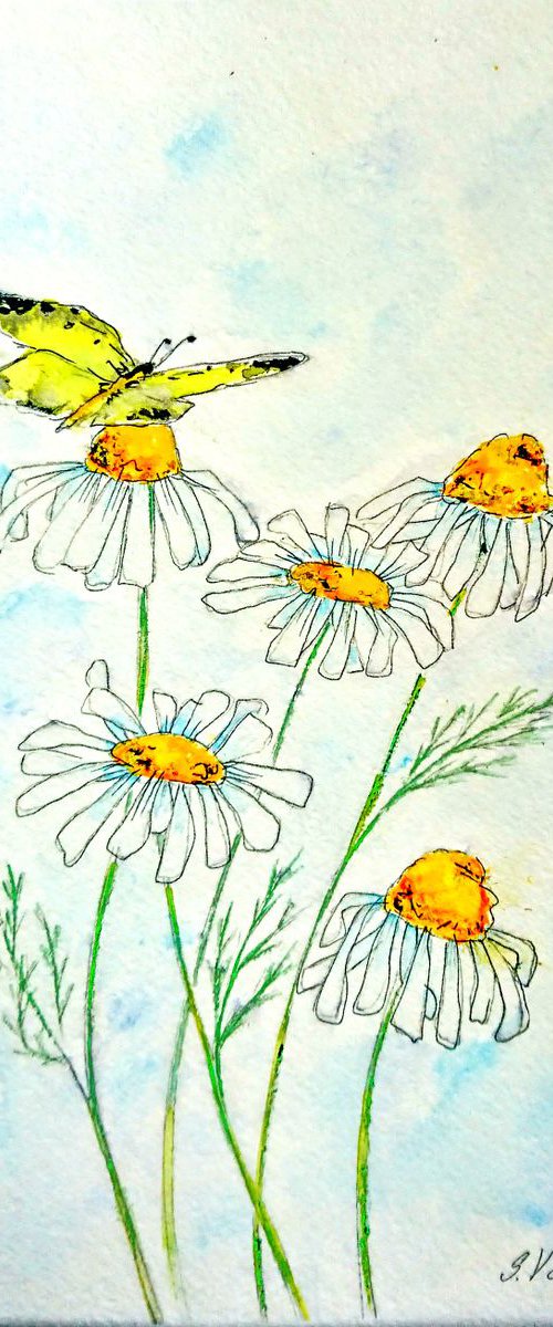 Daisies and Butterfly by Svetlana Vorobyeva