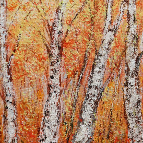 Autumn birch trees
